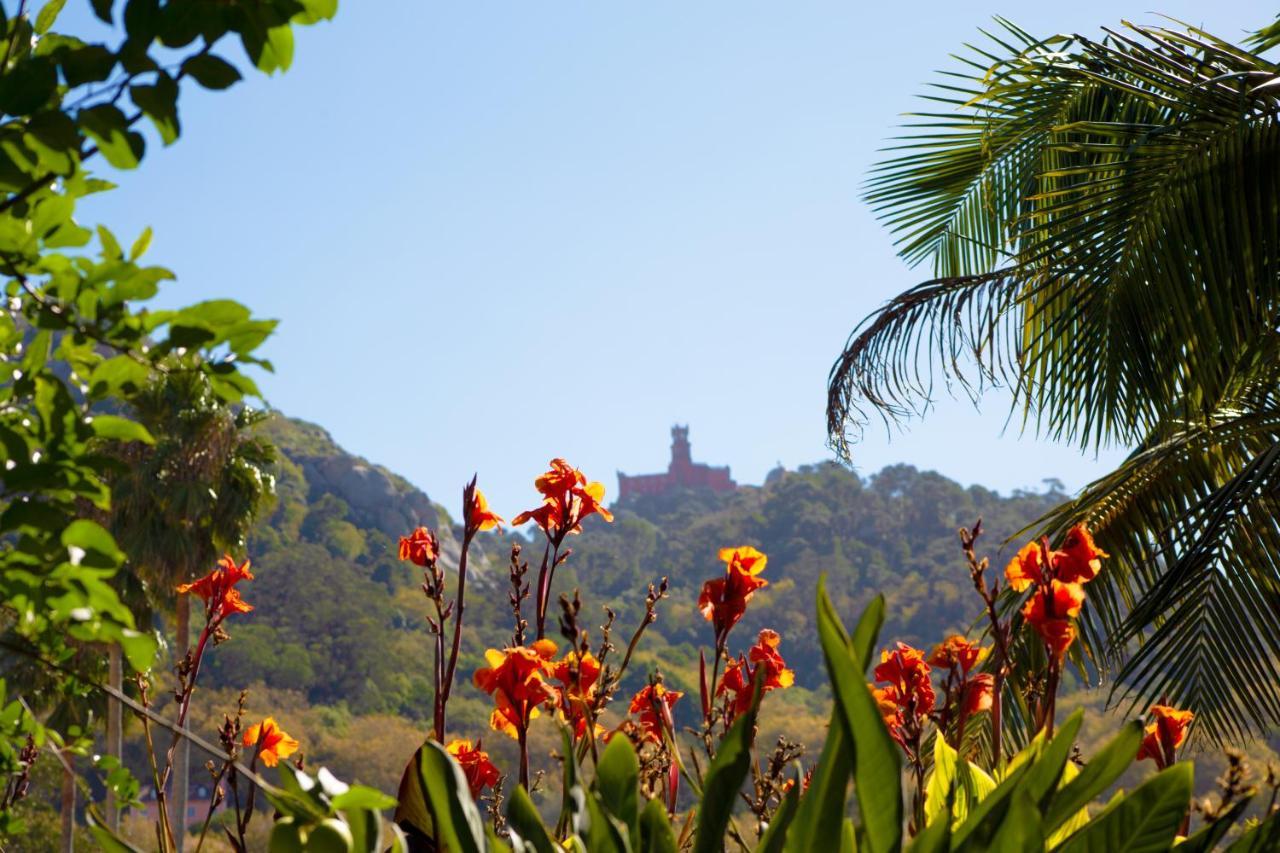 Casa Do Valle Sintra Eksteriør bilde