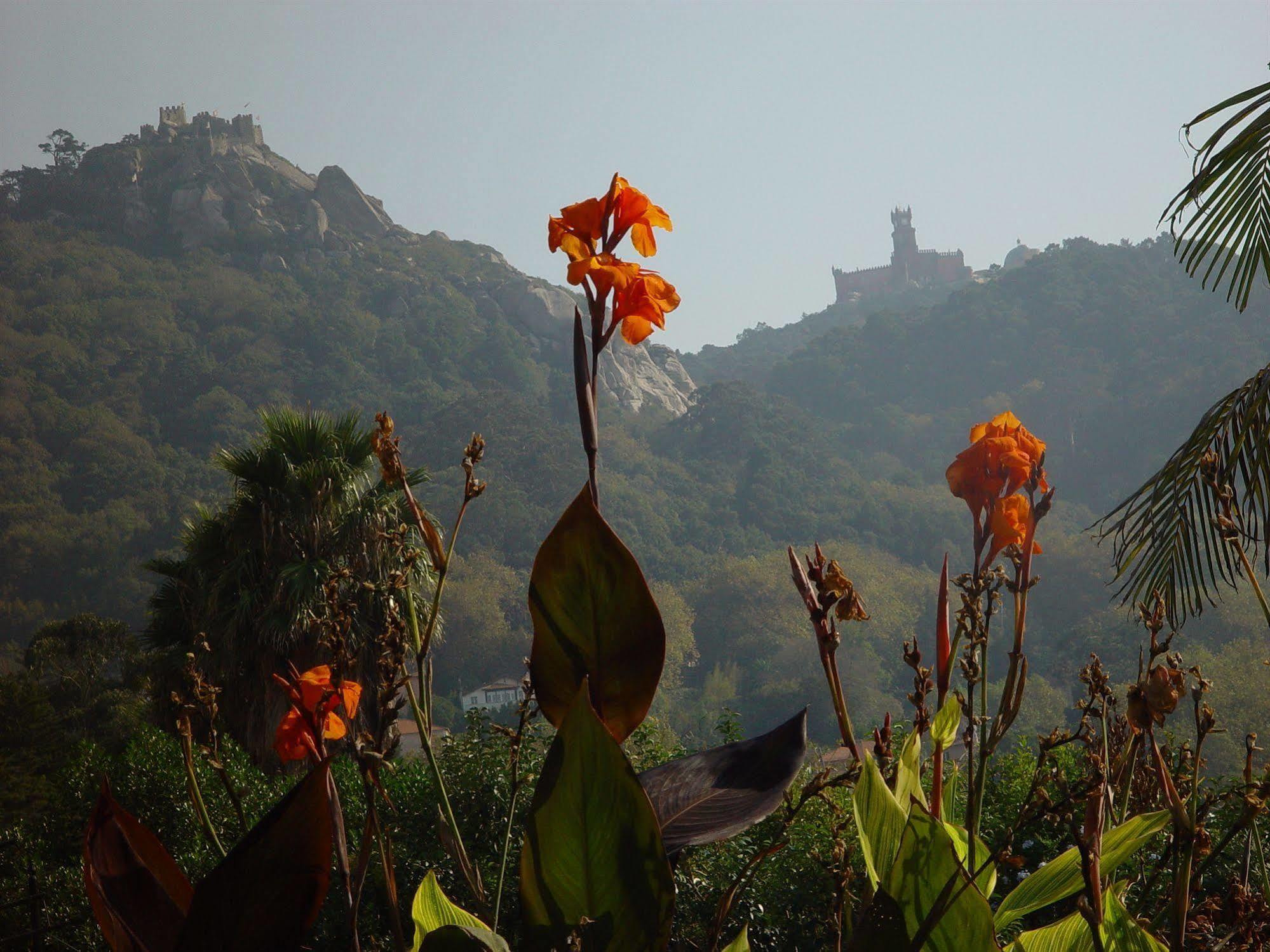 Casa Do Valle Sintra Eksteriør bilde